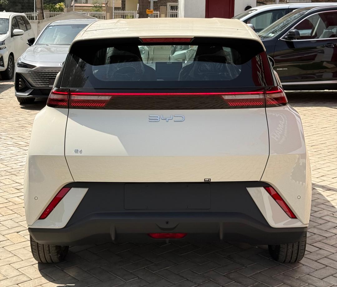 BYD SEAGULL 2024 — photo 10 of 12
